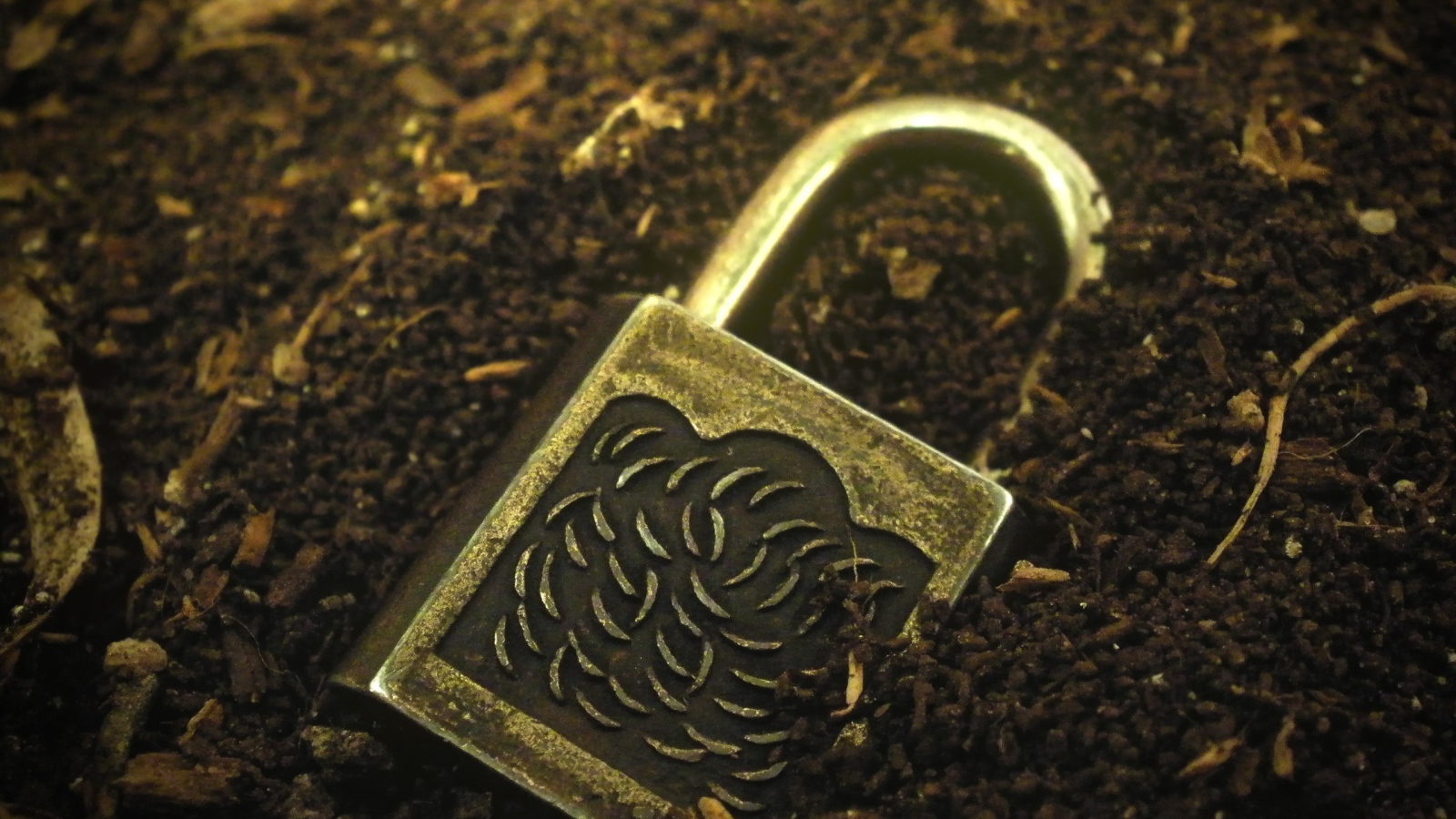 Замок лежит в земле