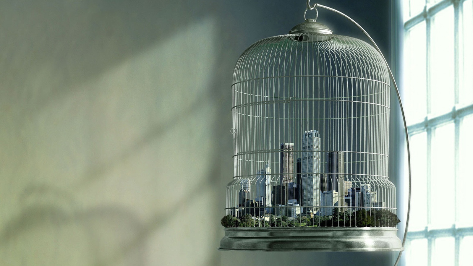 Мегаполис в птичьей клетке