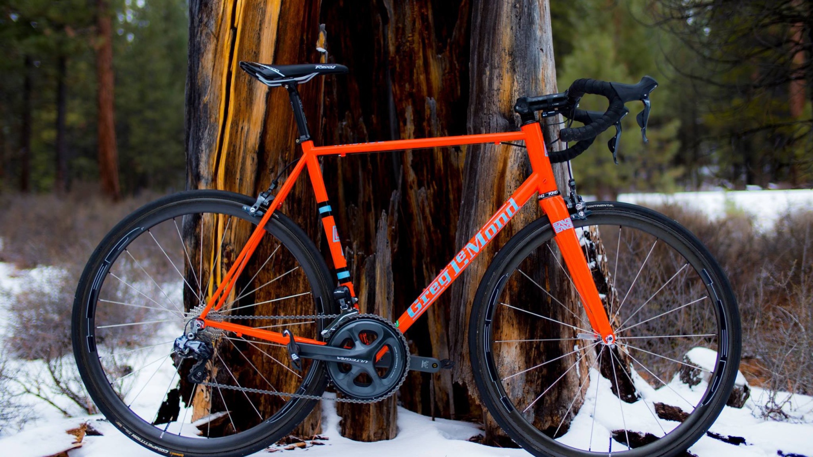 Оранжевый велосипед у дерева