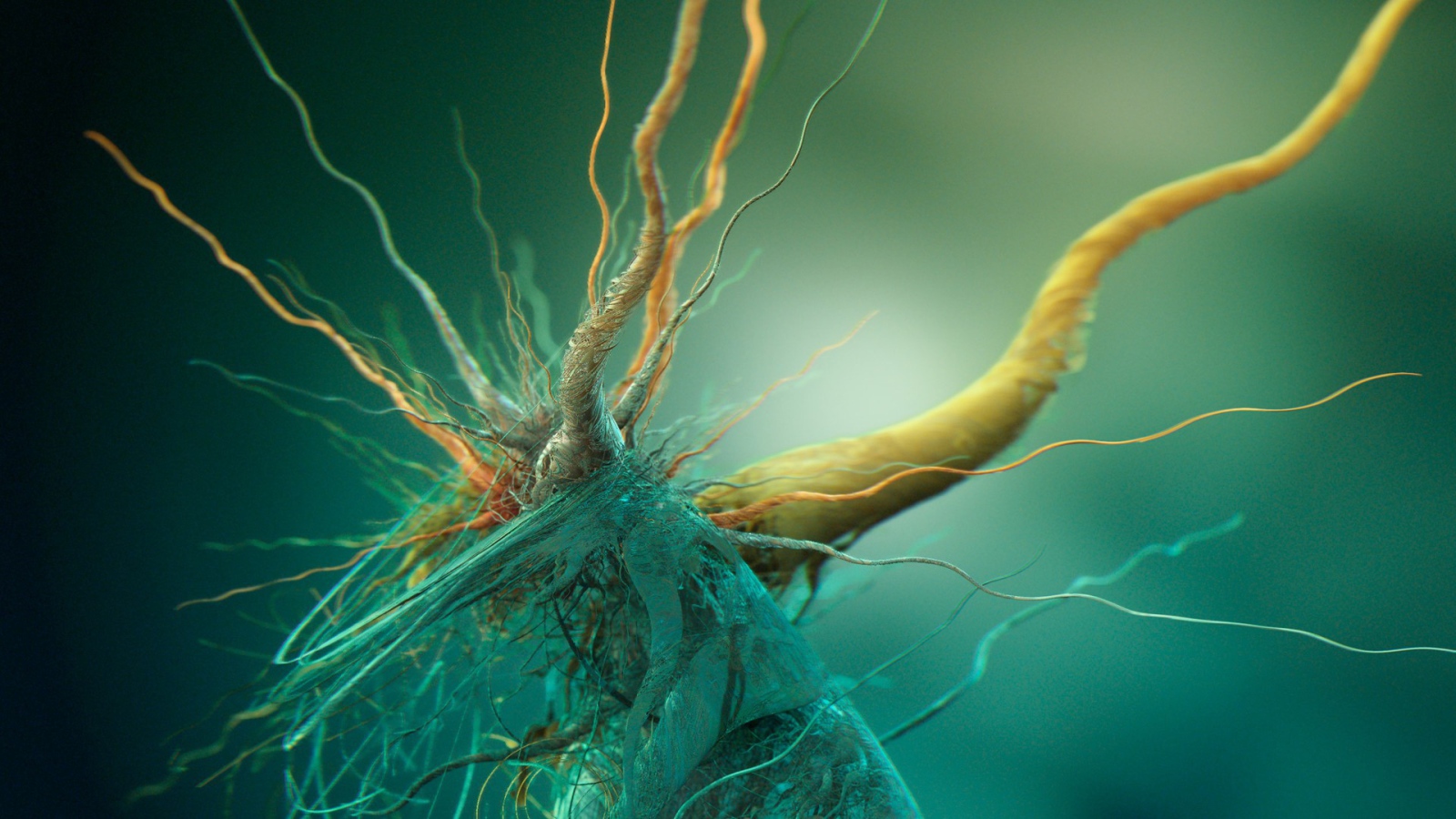 Фото микроорганизма под увеличением