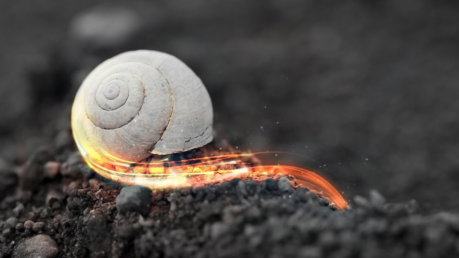 Стремительная огненная улитка