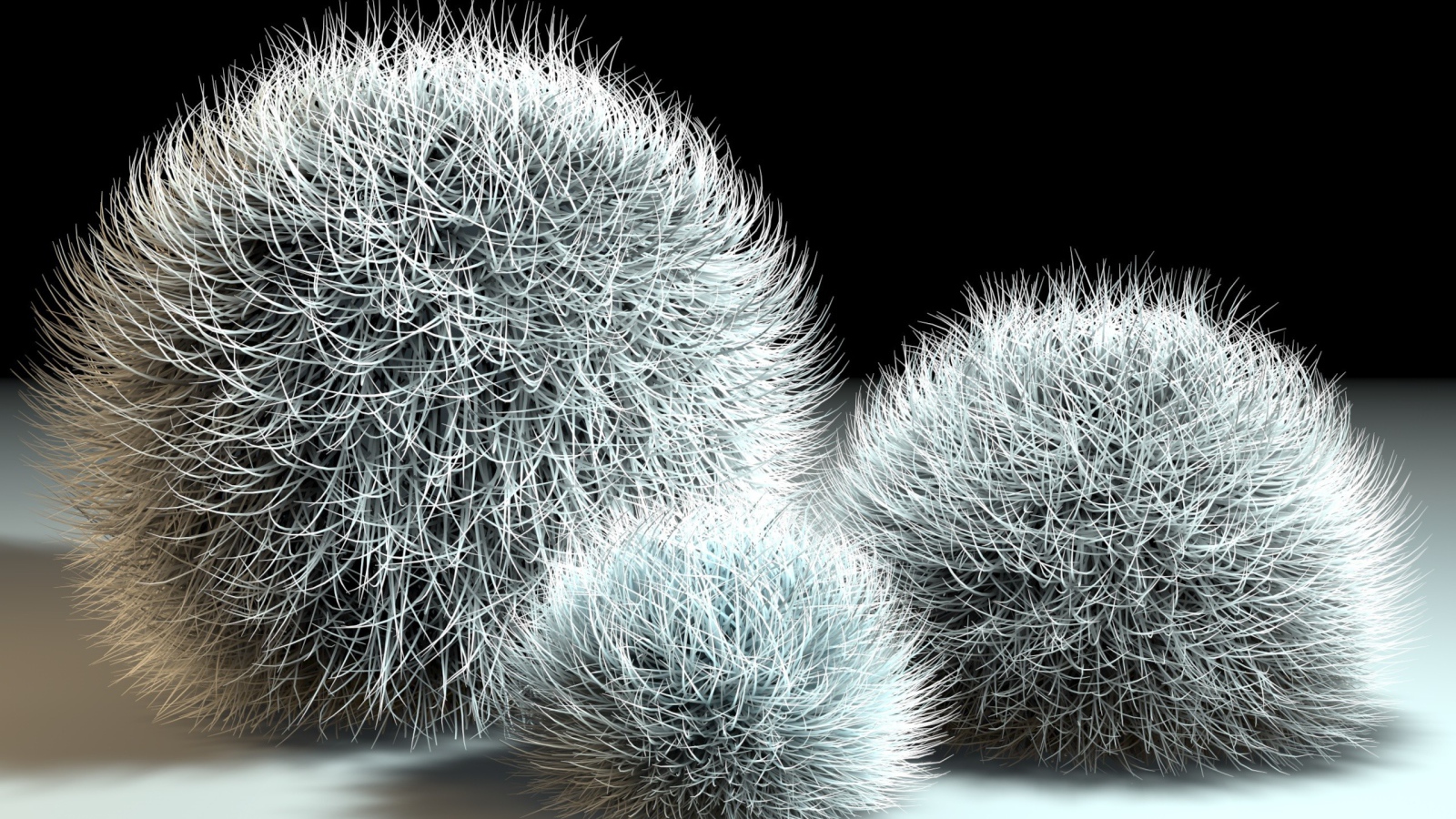 Шарики из мха