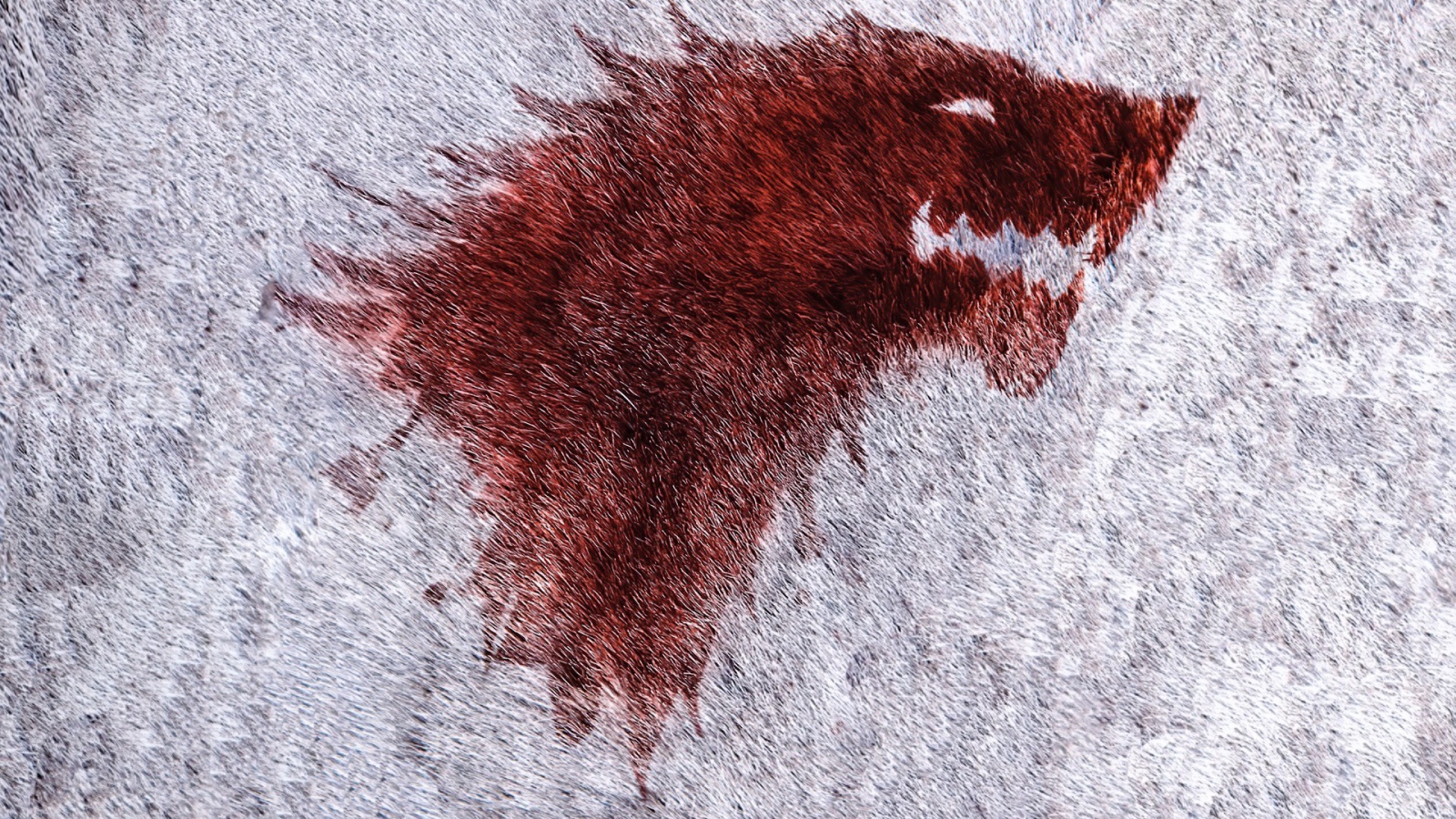 Изображение красного волка