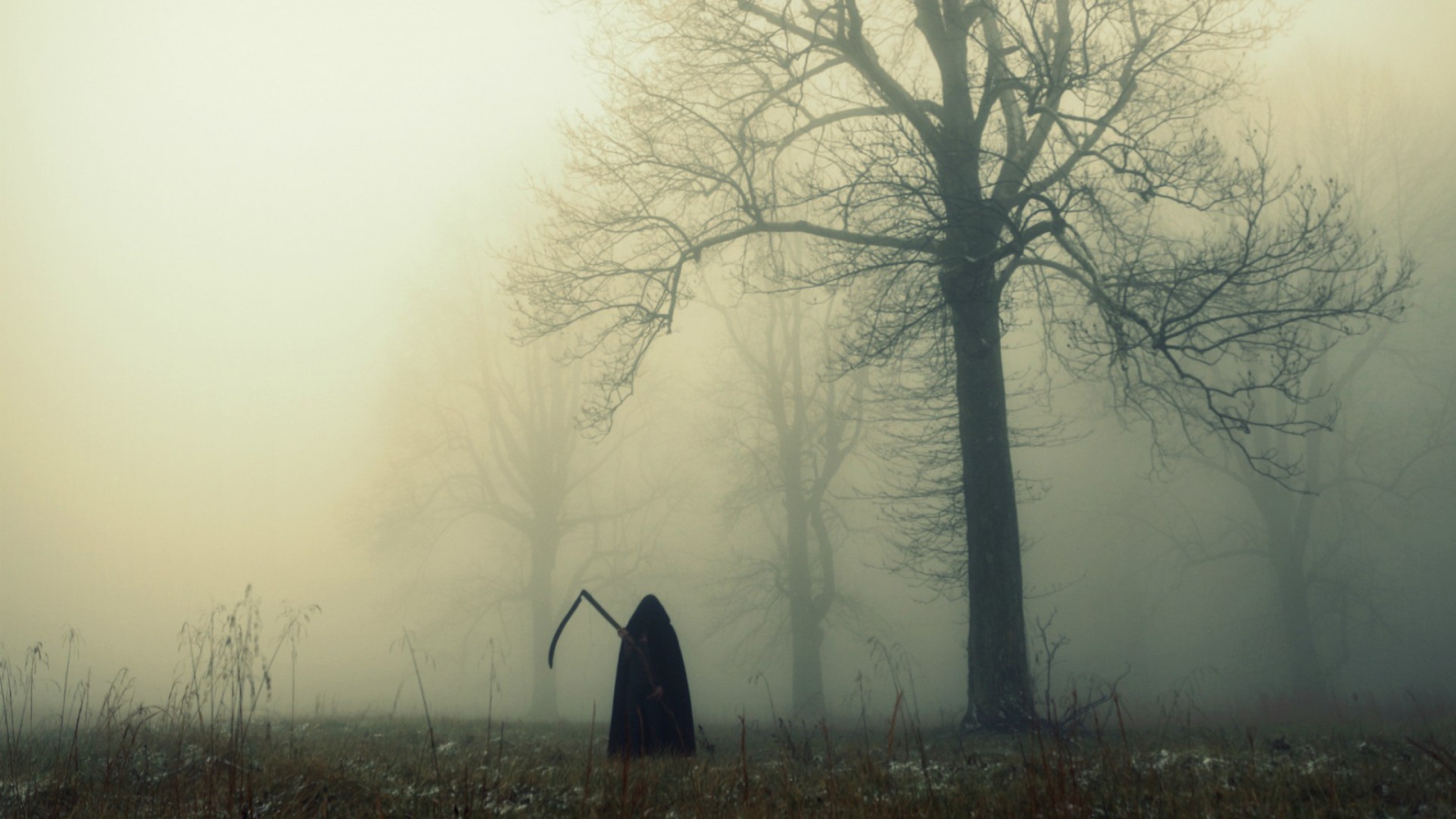 Смерть в темном лесу