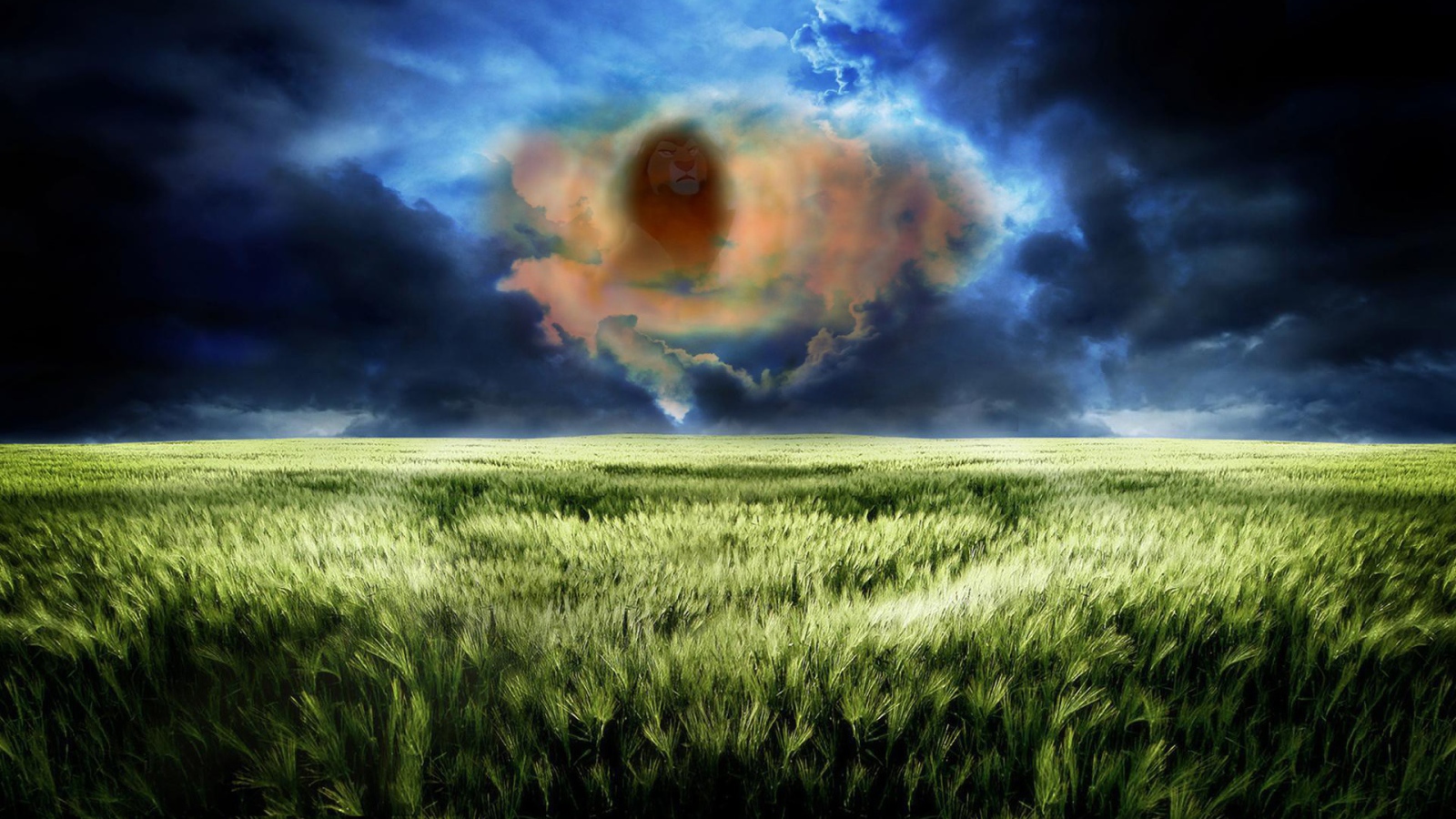 Лицо льва в облаке