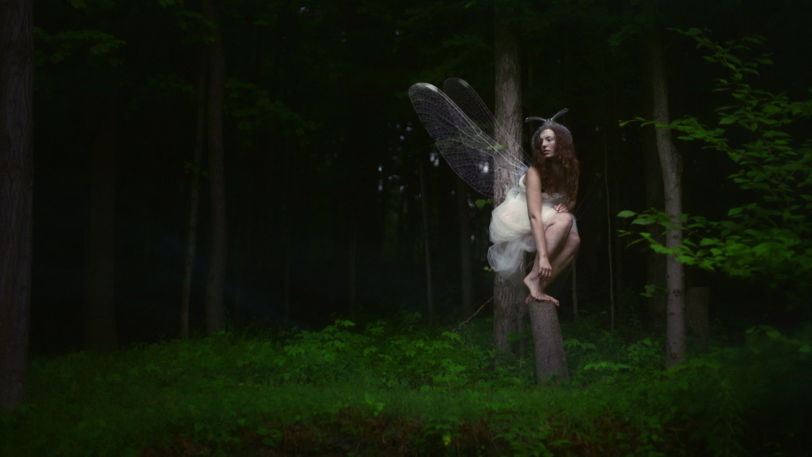 Девушка фея среди деревьев в чаще леса