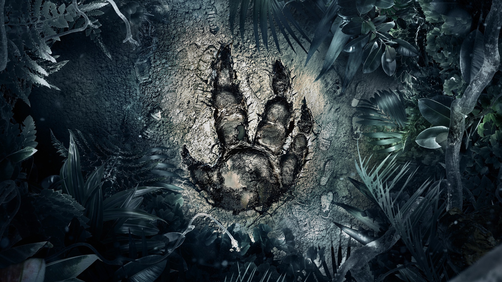 След загадочного зверя