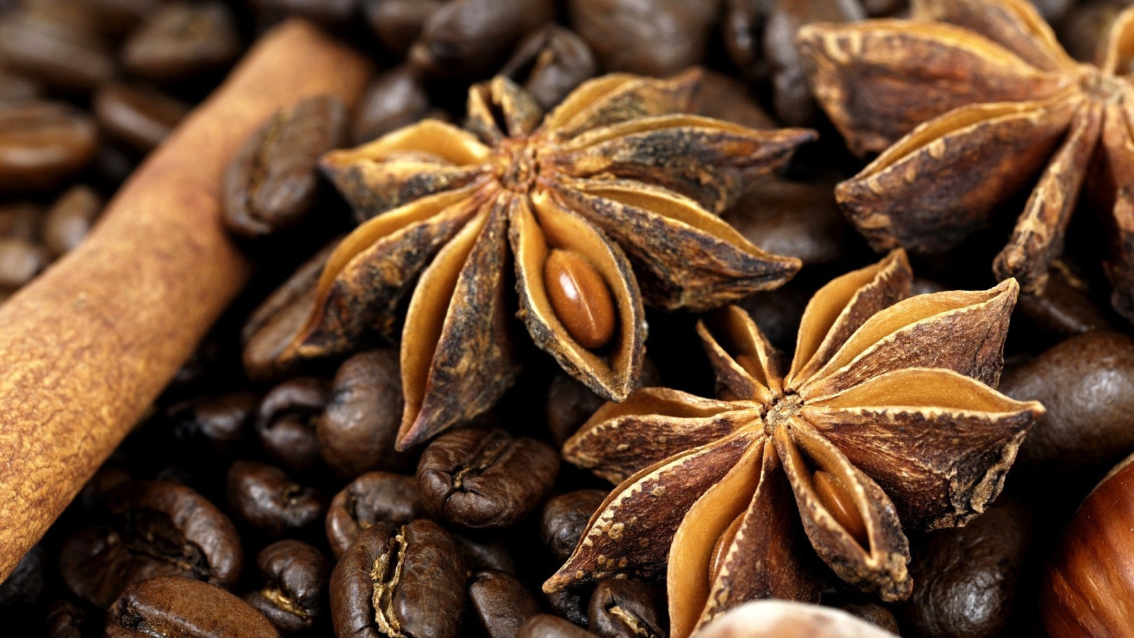 Плоды бадьянового дерева