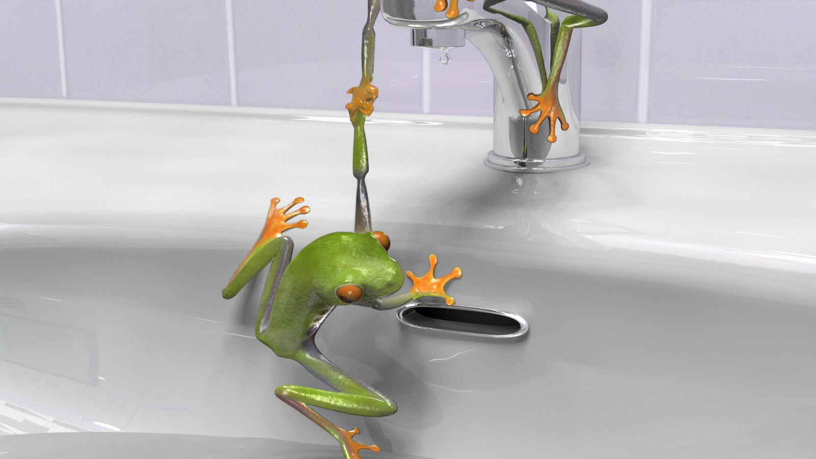 Зеленые лягушки в раковине