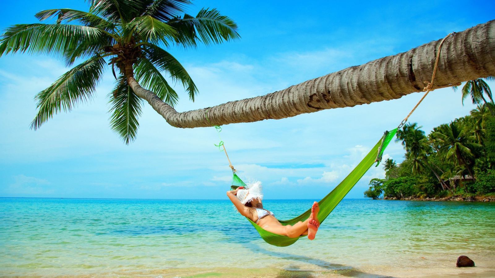 Девушка в зеленом гамаке под пальмой