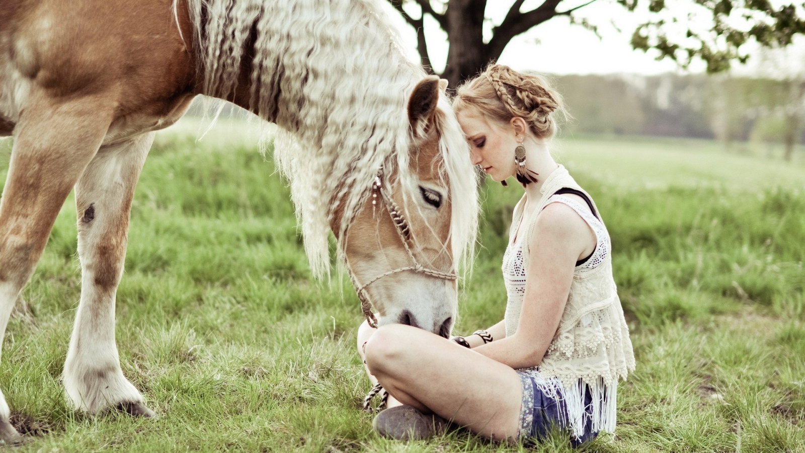 Лошадь прислонилась к девушке