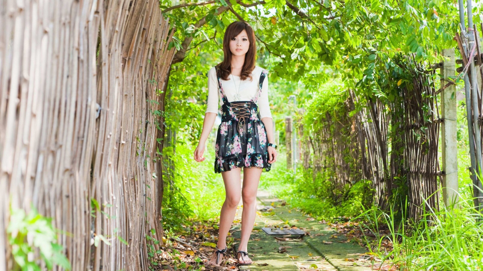 Японская девушка у бамбукового забора