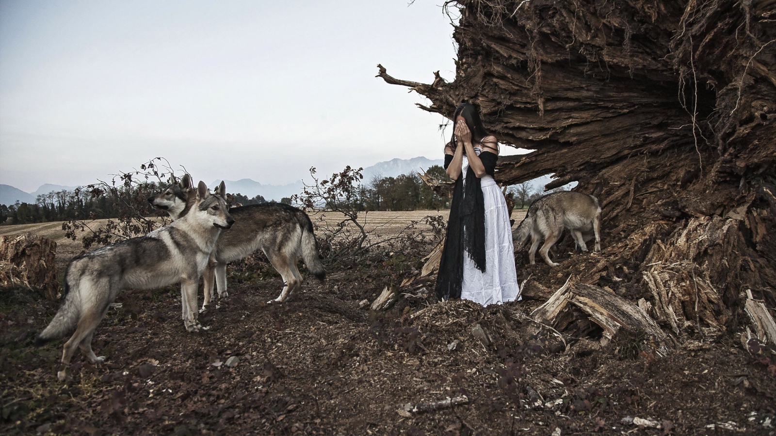 Девушка закрыла лицо в окружении волков