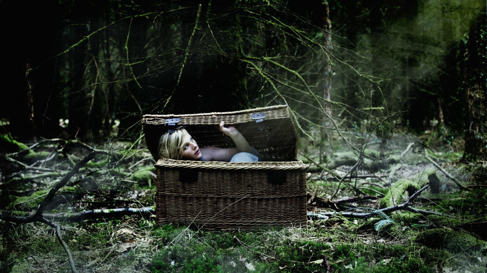 Блондинка в корзине в лесу