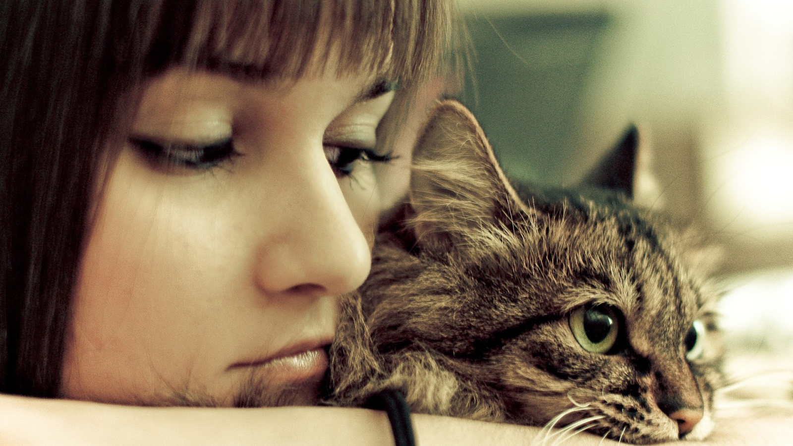 Девушка грустит со своим котом