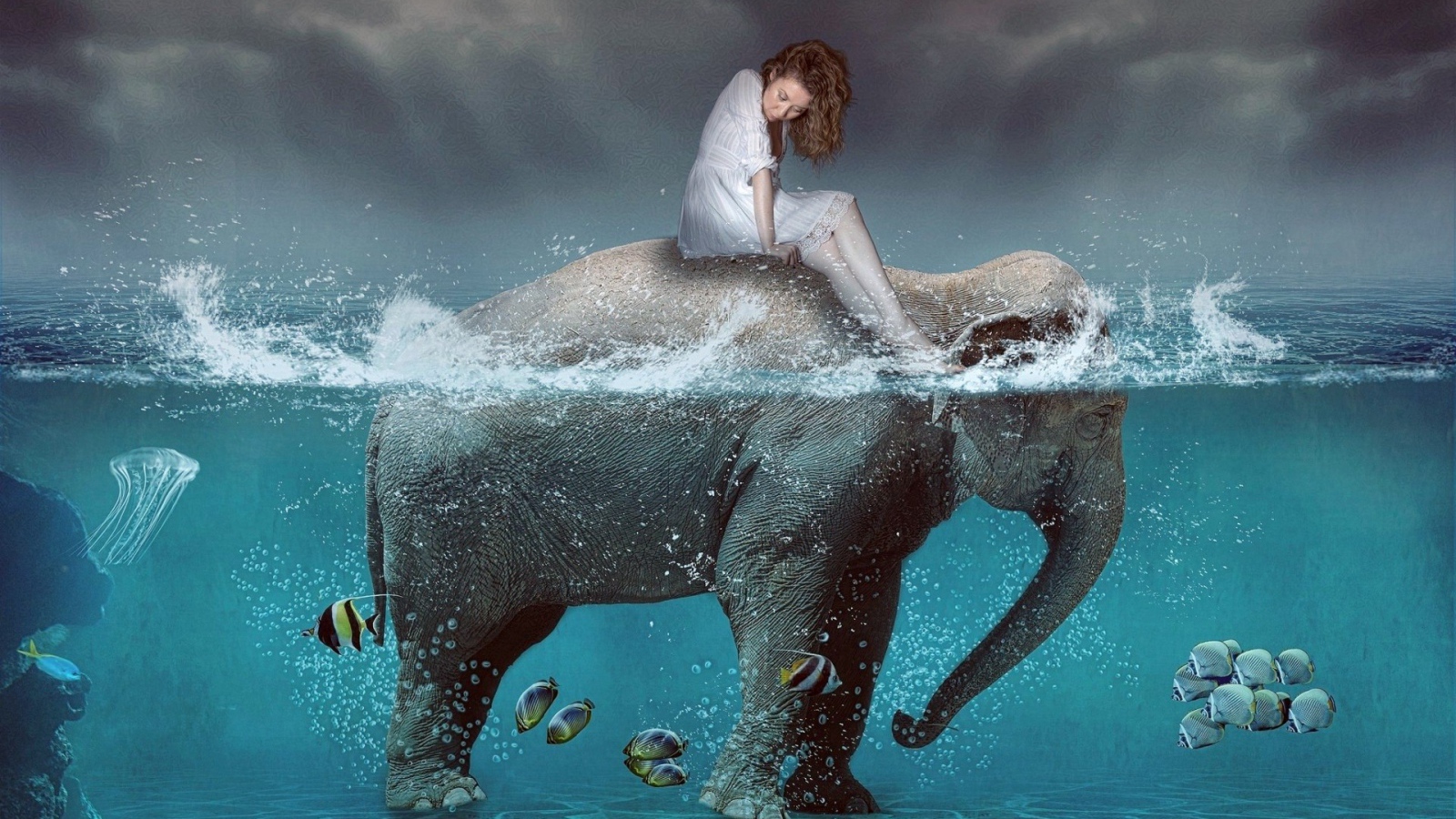 Девушка на спине слона