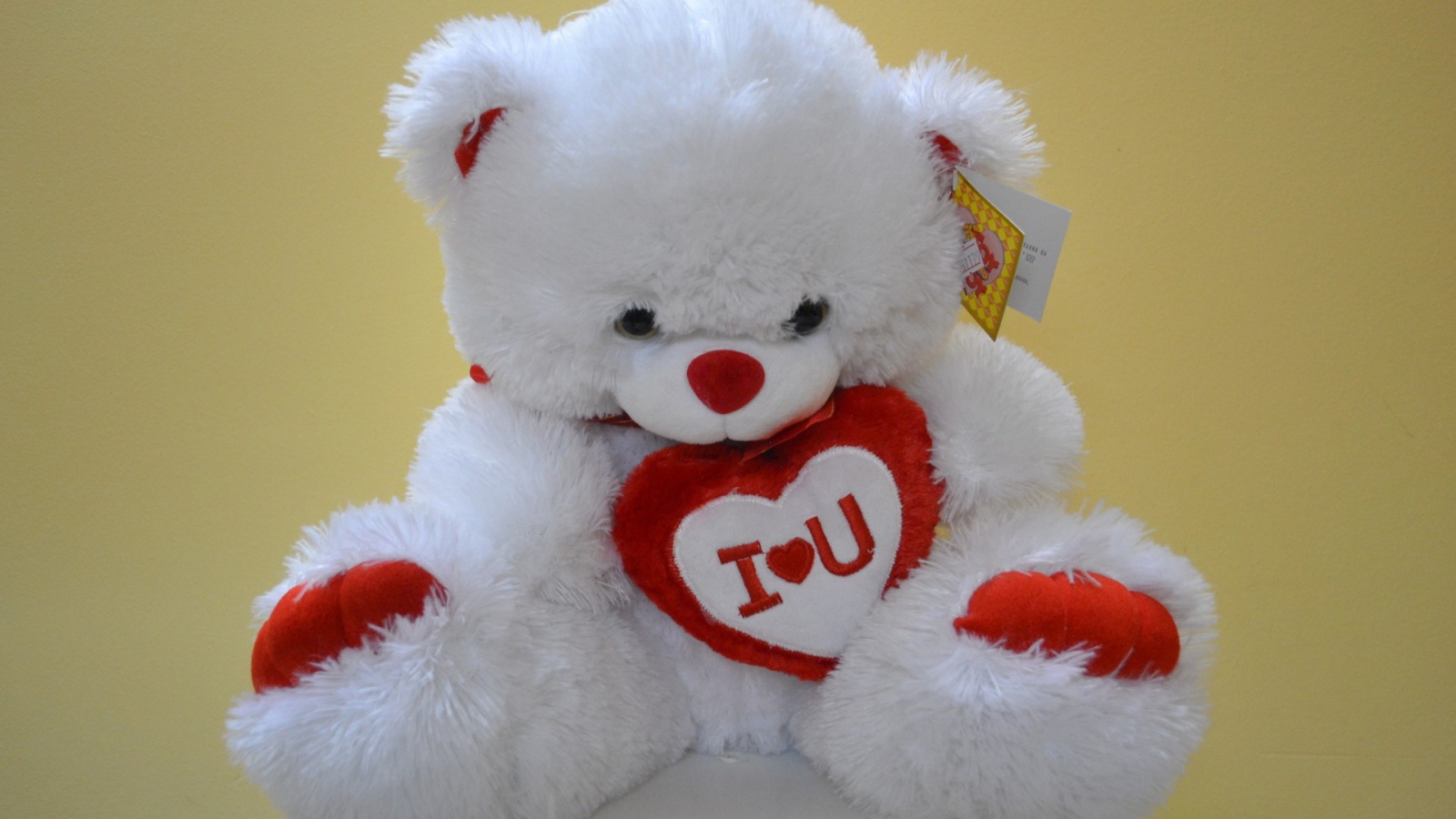 Белый медвежонок с признанием в любви