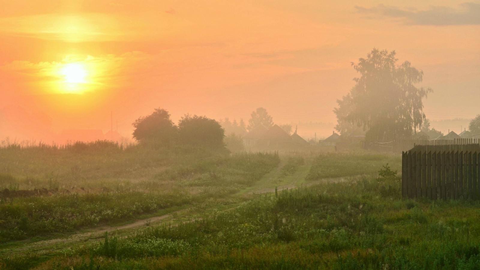 Туманный рассвет в деревне