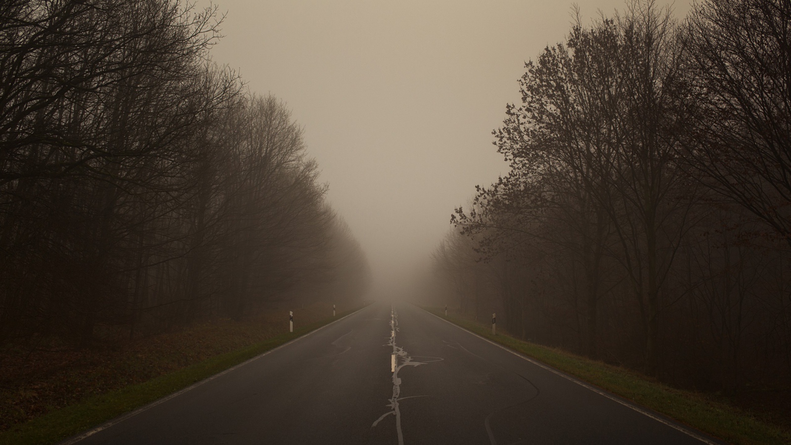 Плохая видимость на дороге