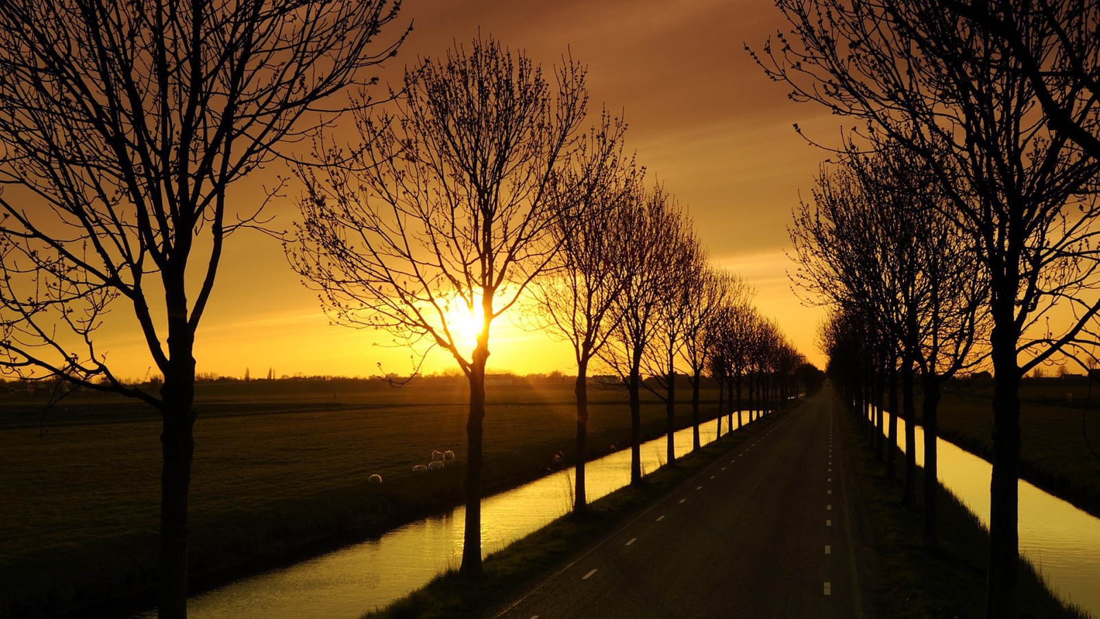 Дорога с каналами по краям