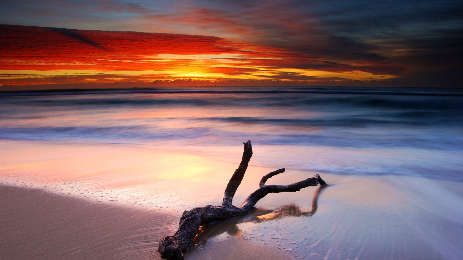 Коряга на белом песке пляжа на закате