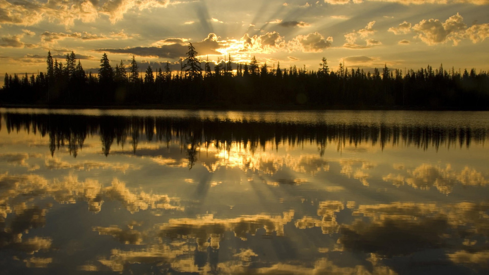 Освещенные лучами солнца облака отражаются в воде