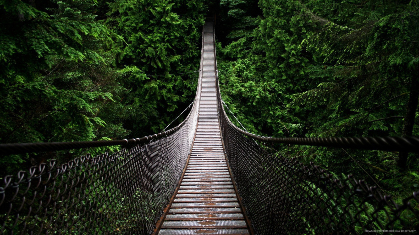 Подвесной мост на канатах