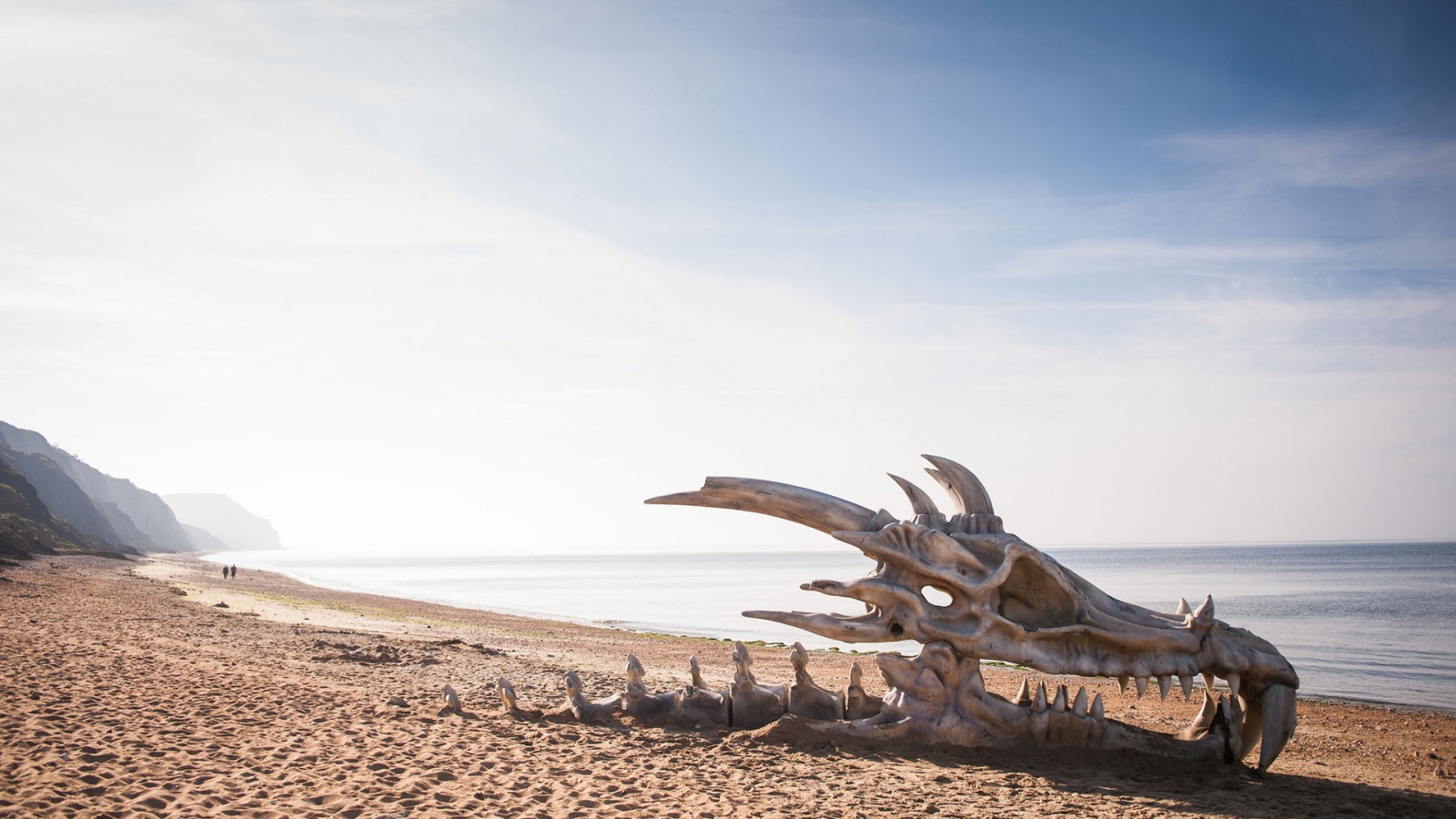 Череп дракона на пляже