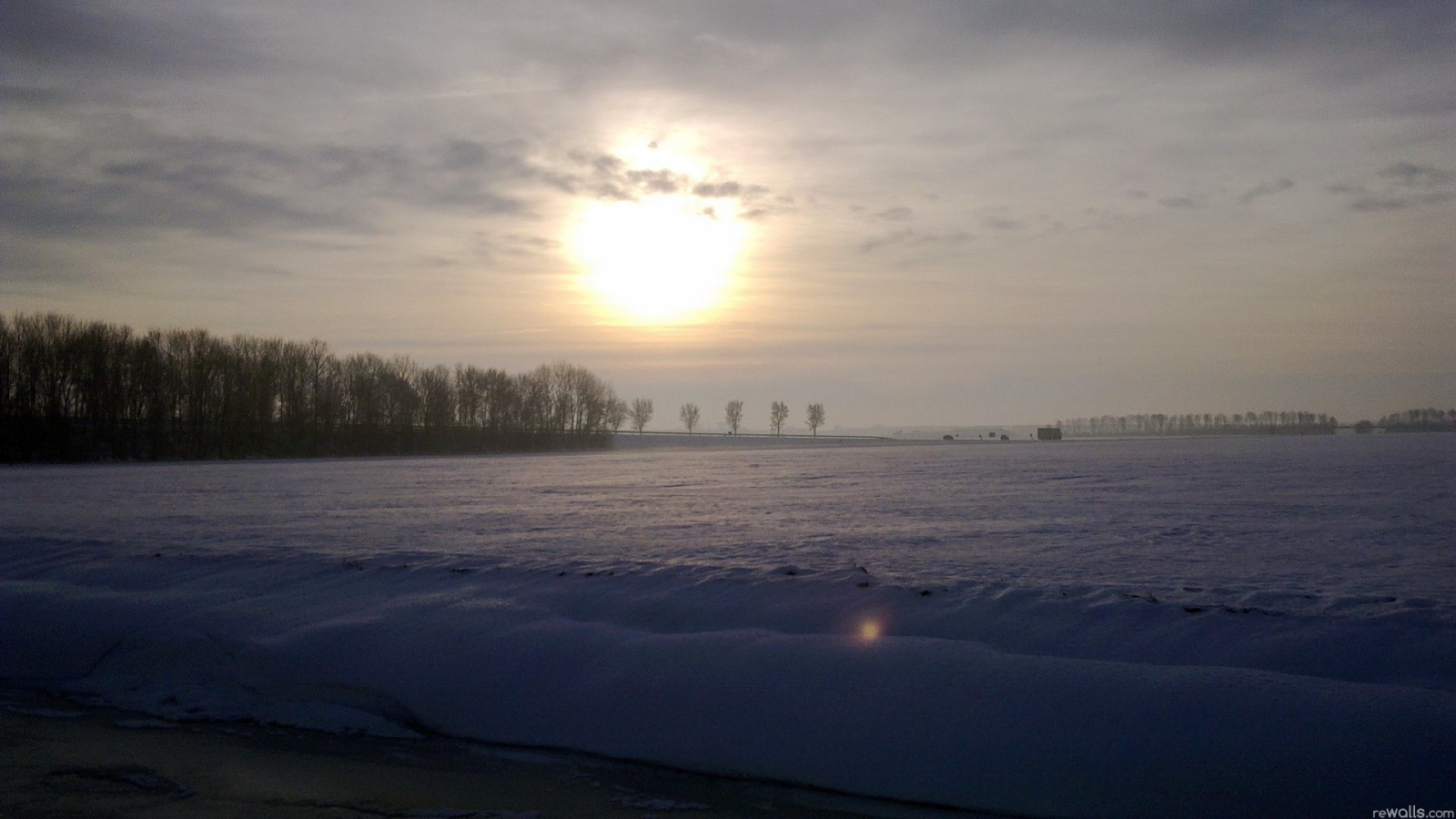 Заметенное снегом поле