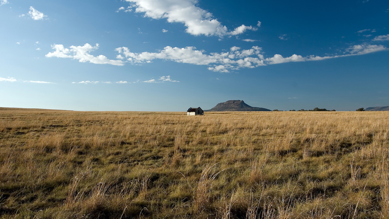 Одинокий дом посередине поля