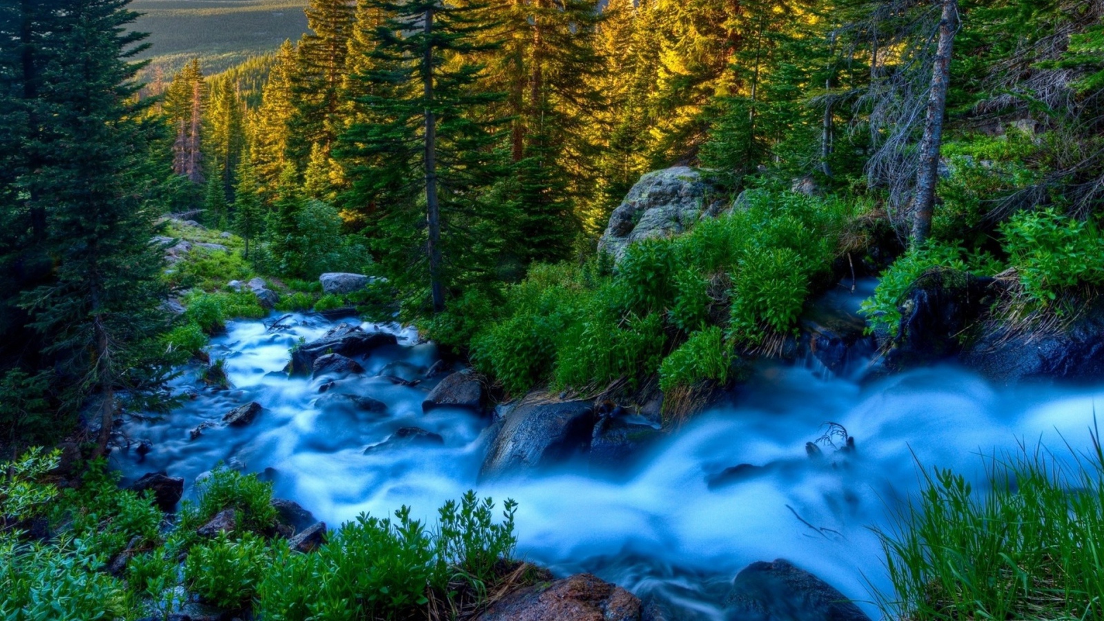 Голубой ручей среди горного леса