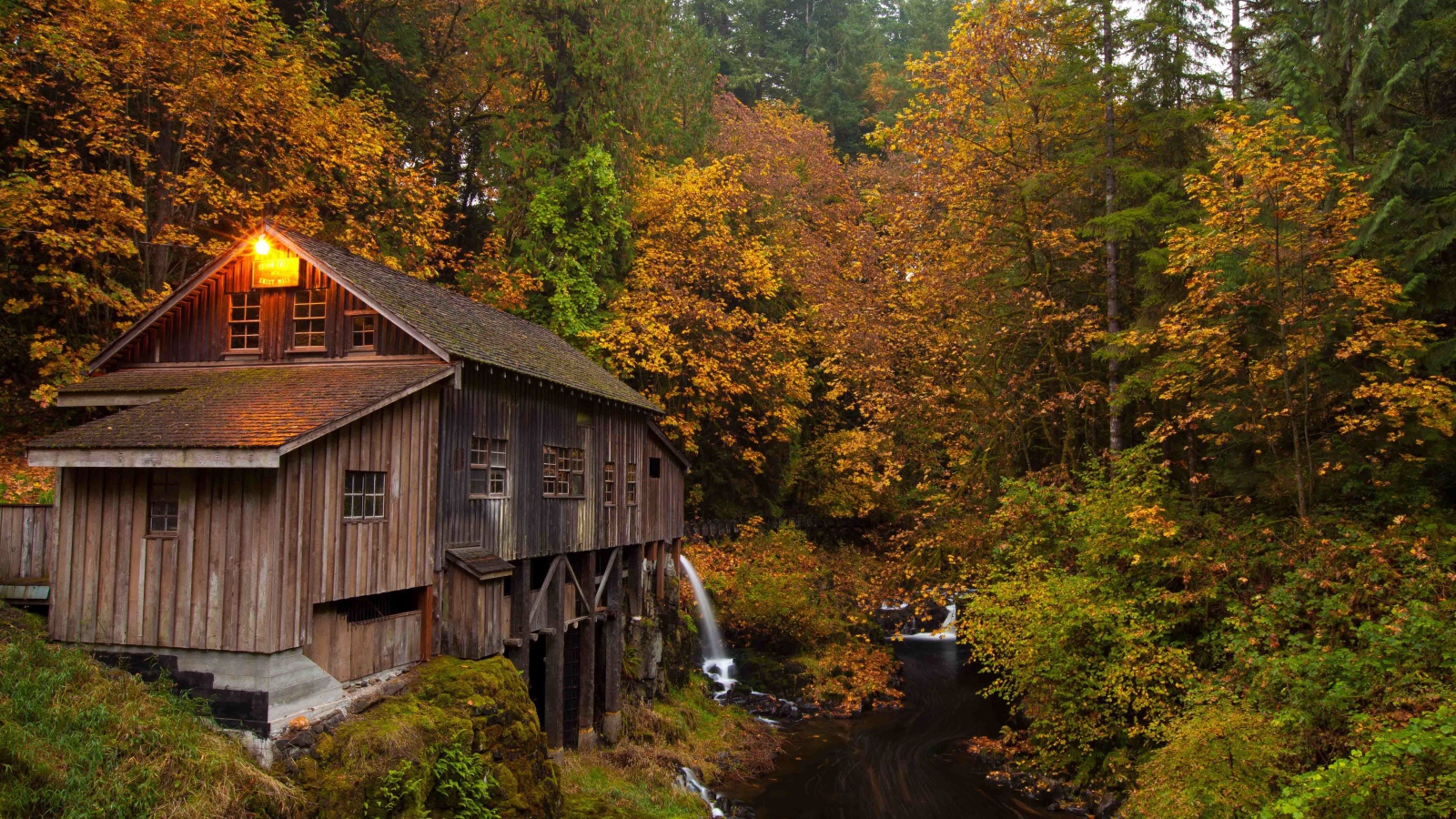 Деревянный дом над речушкой в лесу