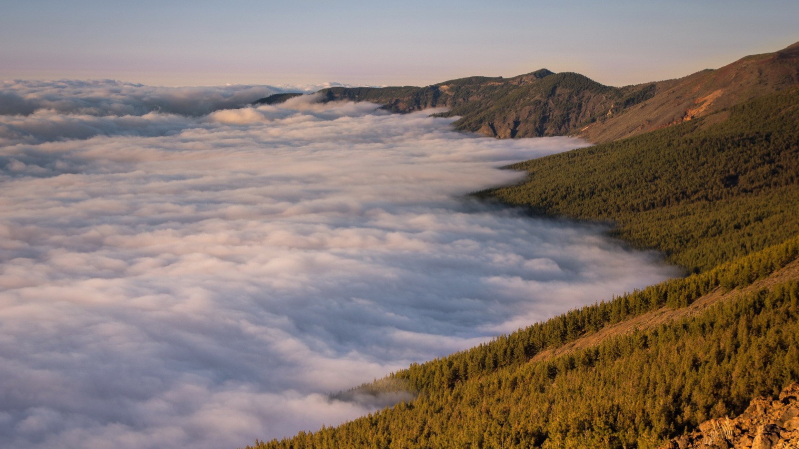 Туман в долине