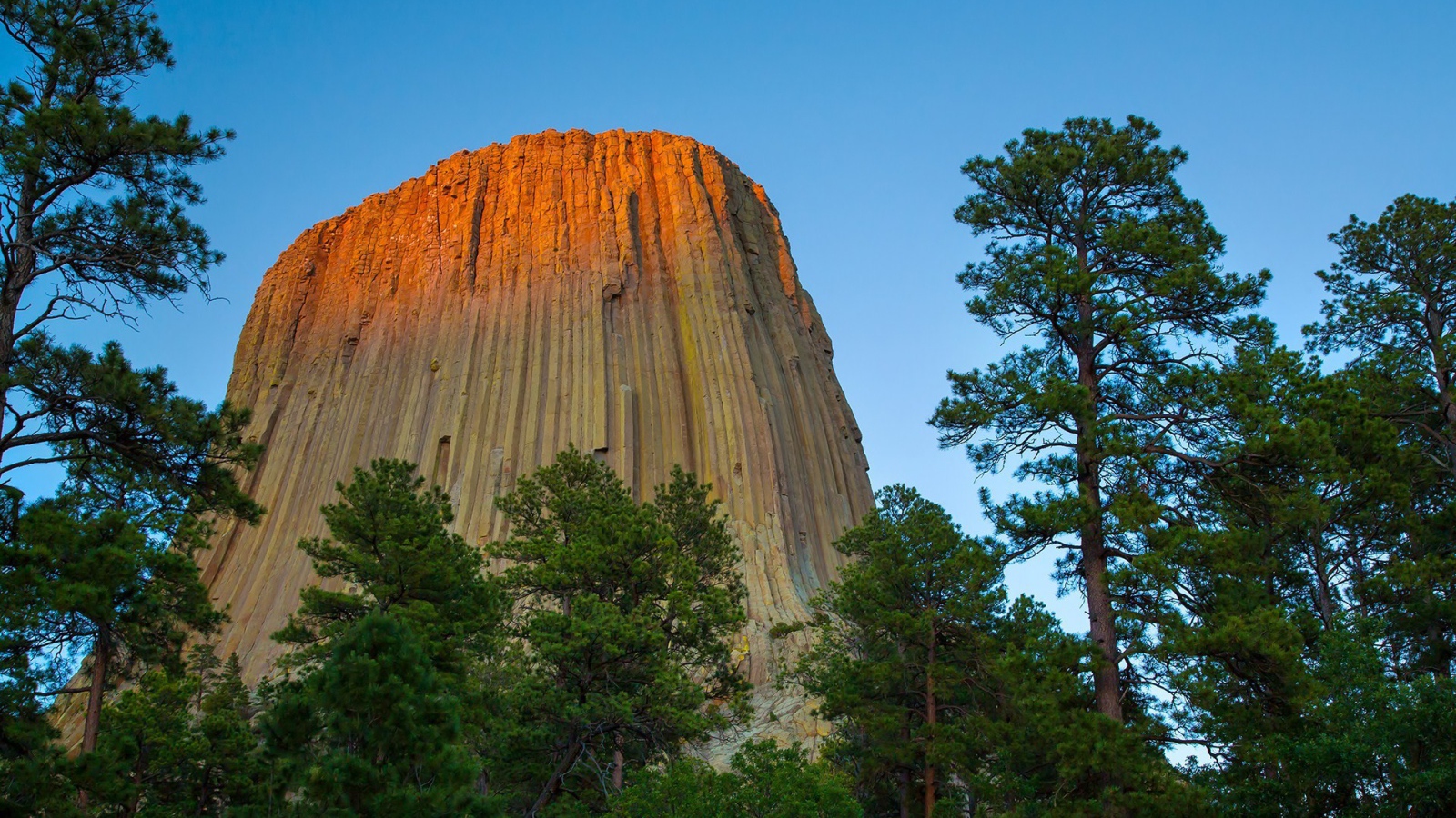 Скала с вертикальными бороздами