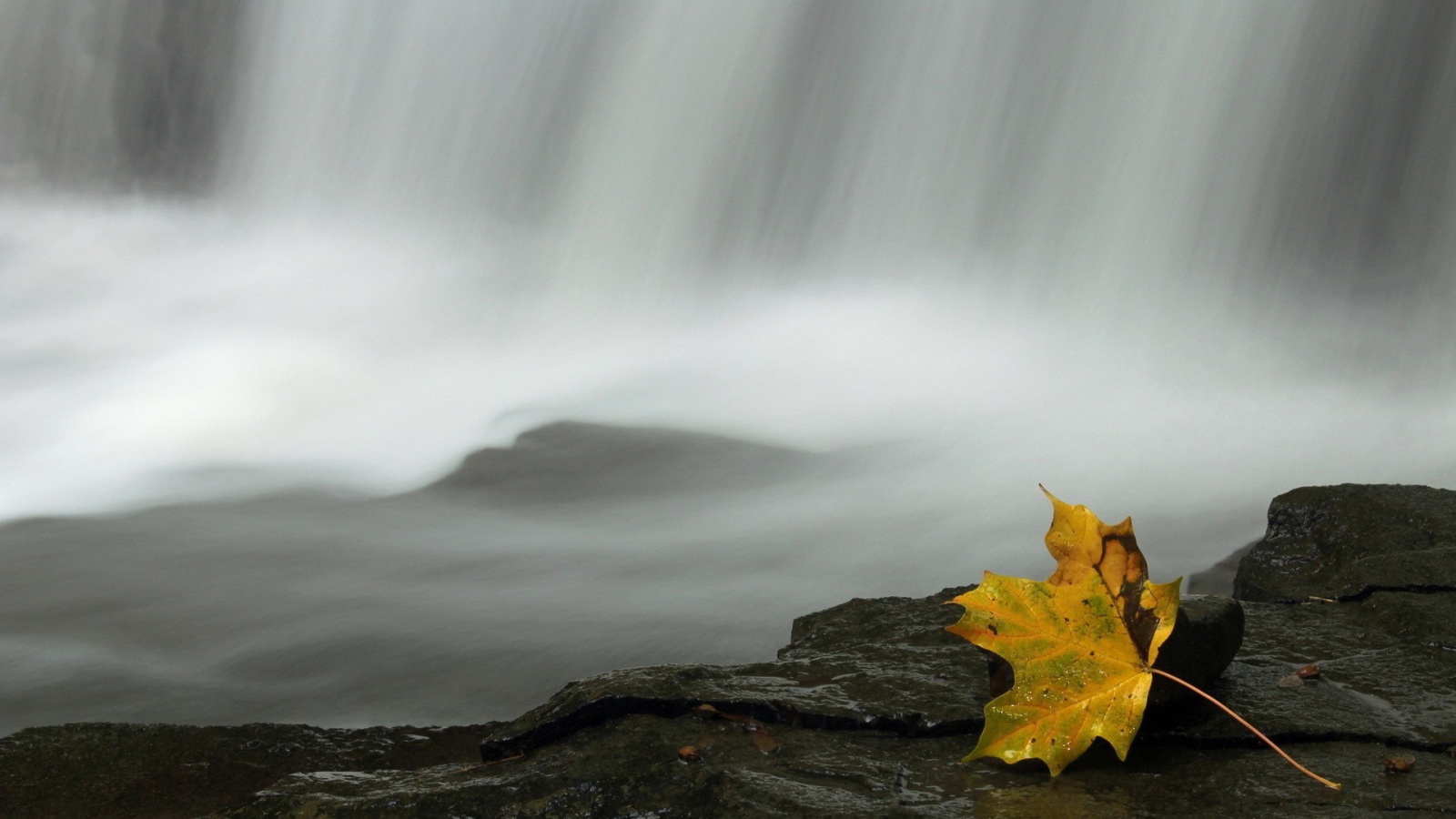 Осенний лист у водопада