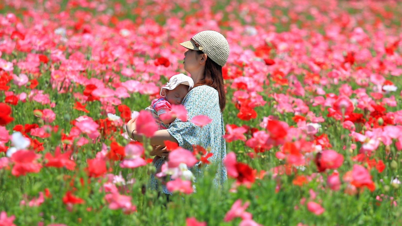 Девушка с ребенком идет по полю цветов