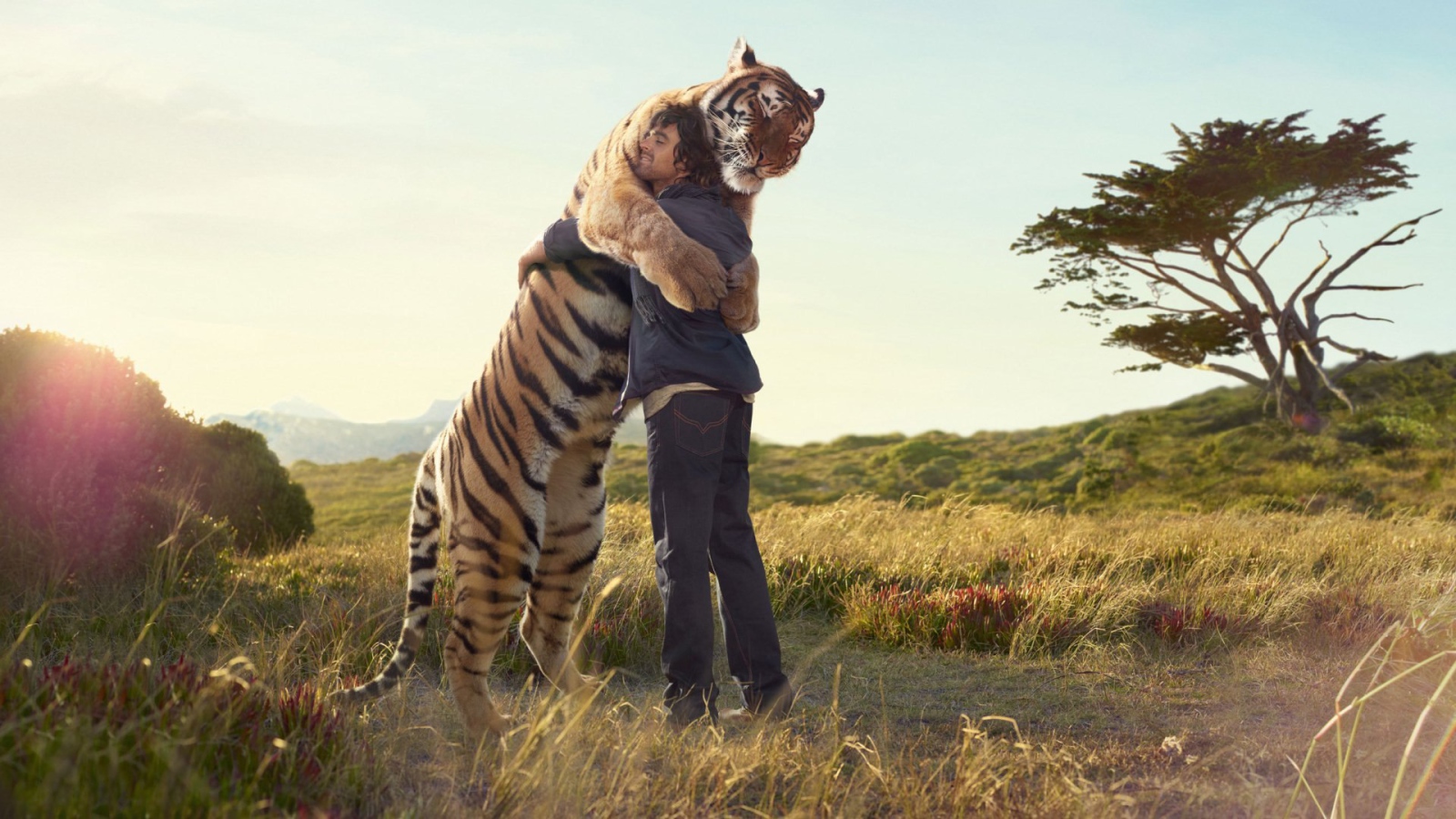 Man hugging tiger