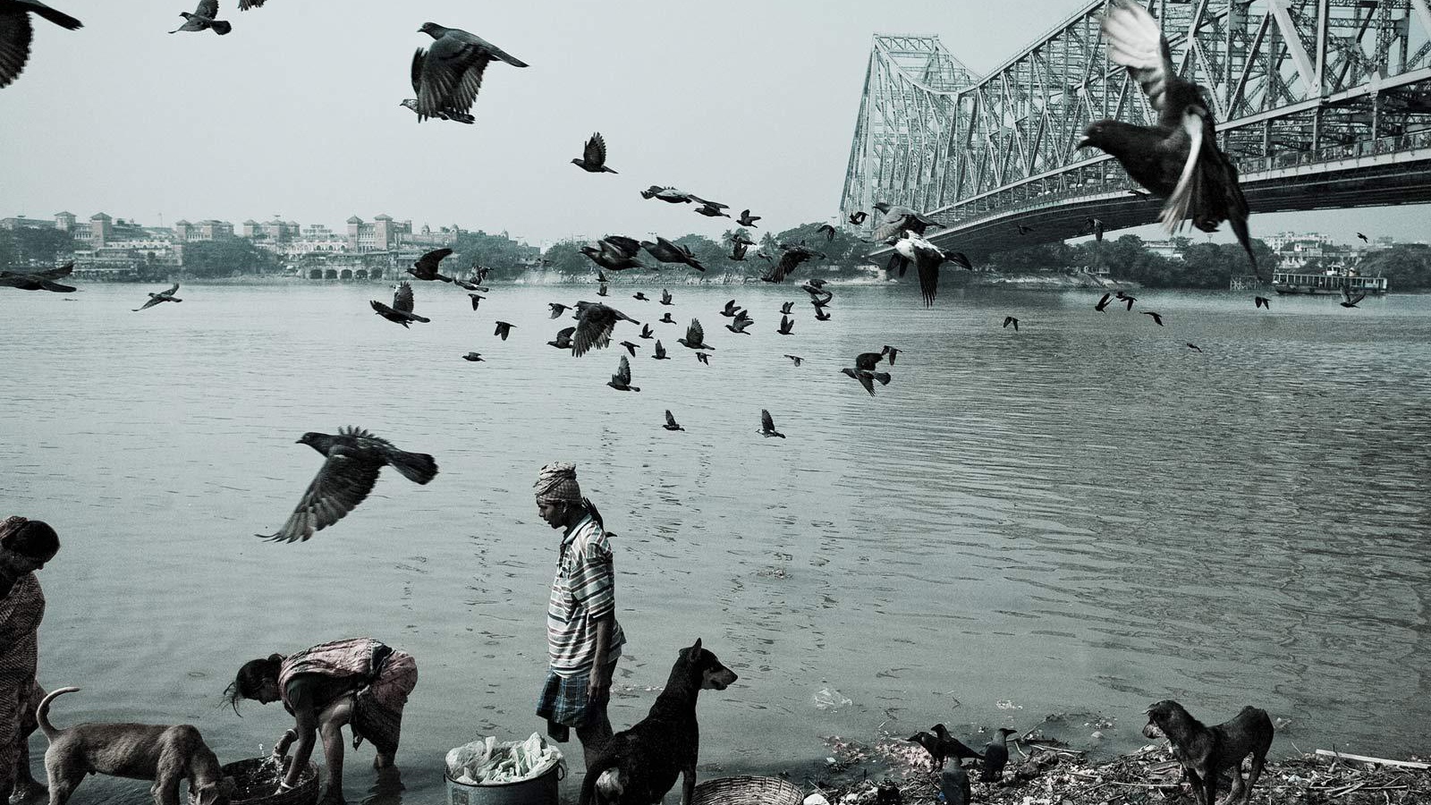 Жизнь людей и животных