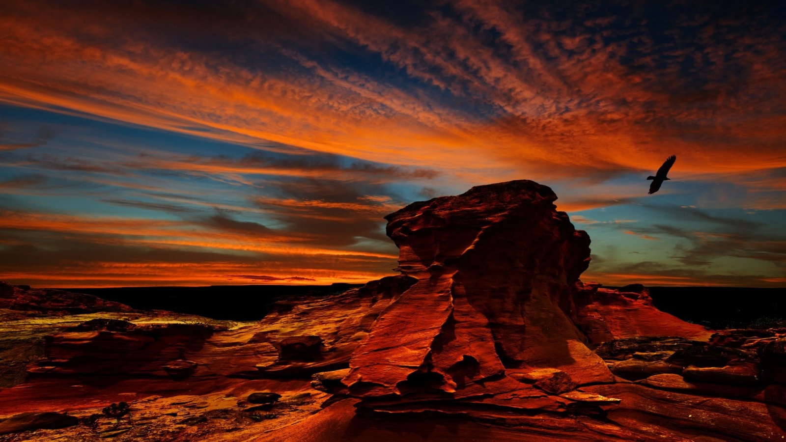 Орел над красной скалой в Чили