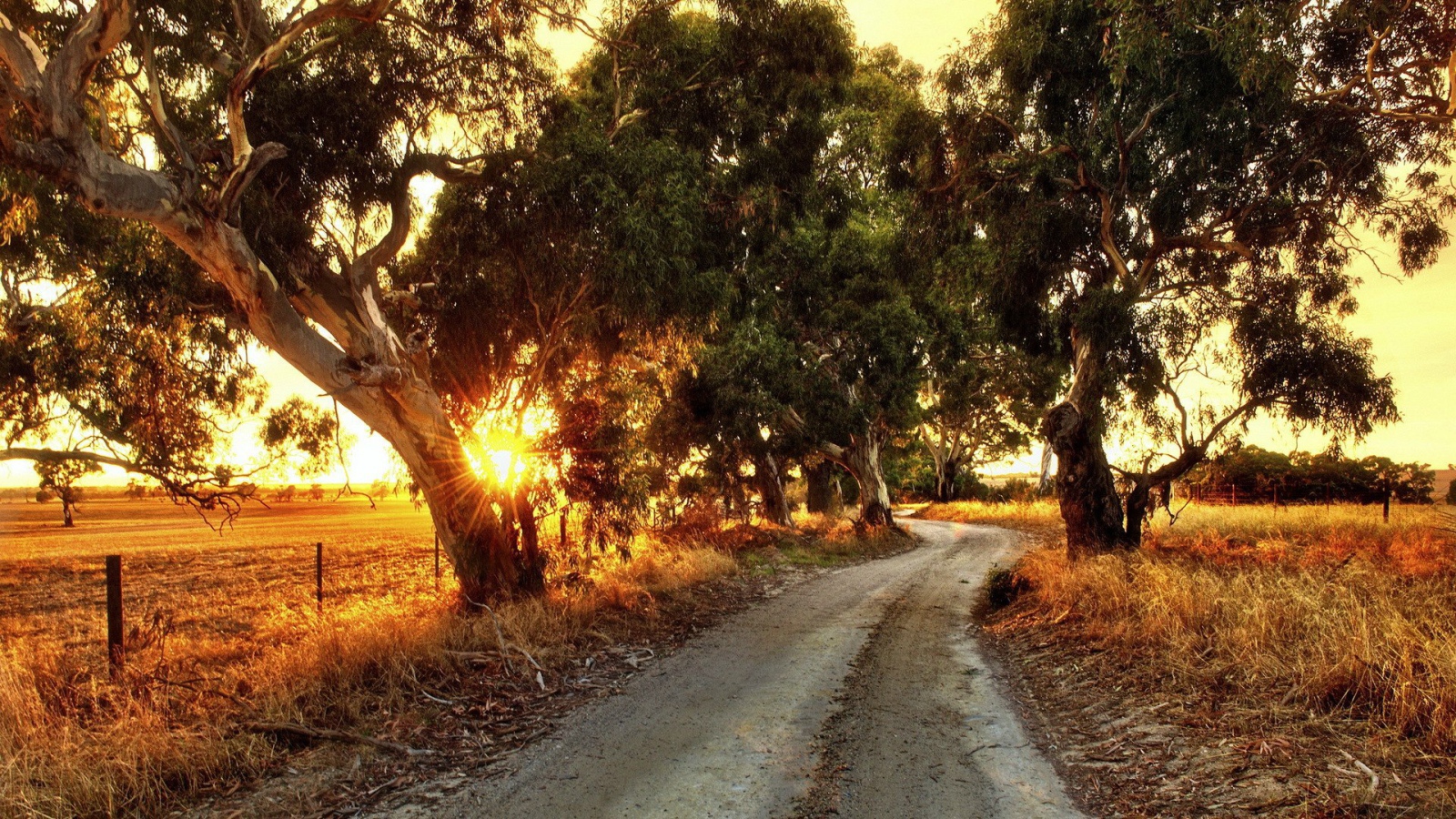 Сельская дорога в Австралии