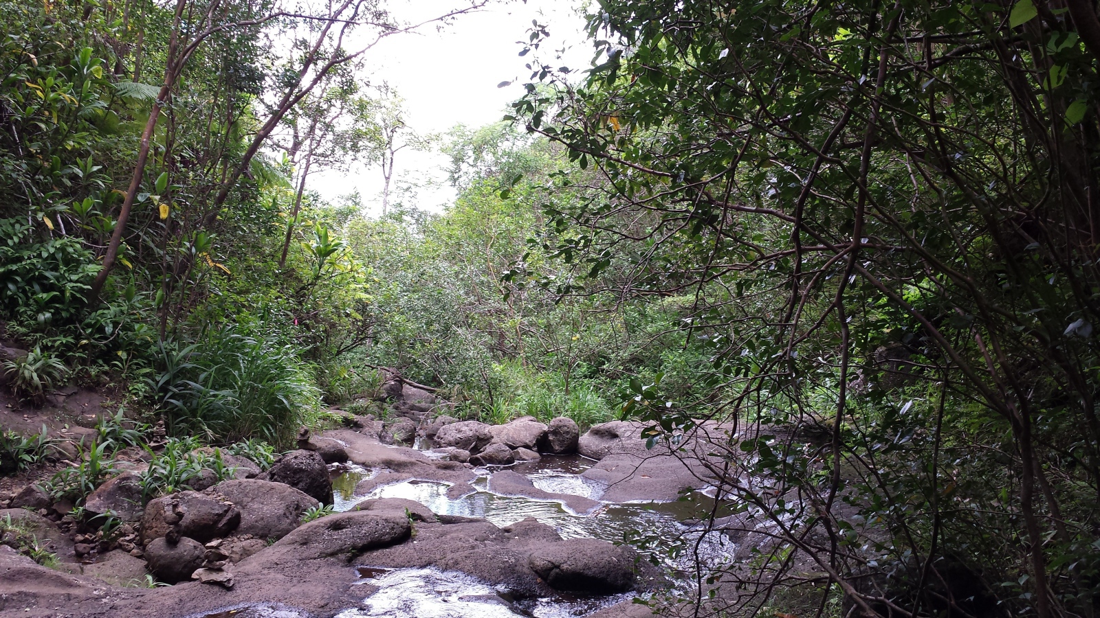 Река в Ka‘Au Crater, Гавайи