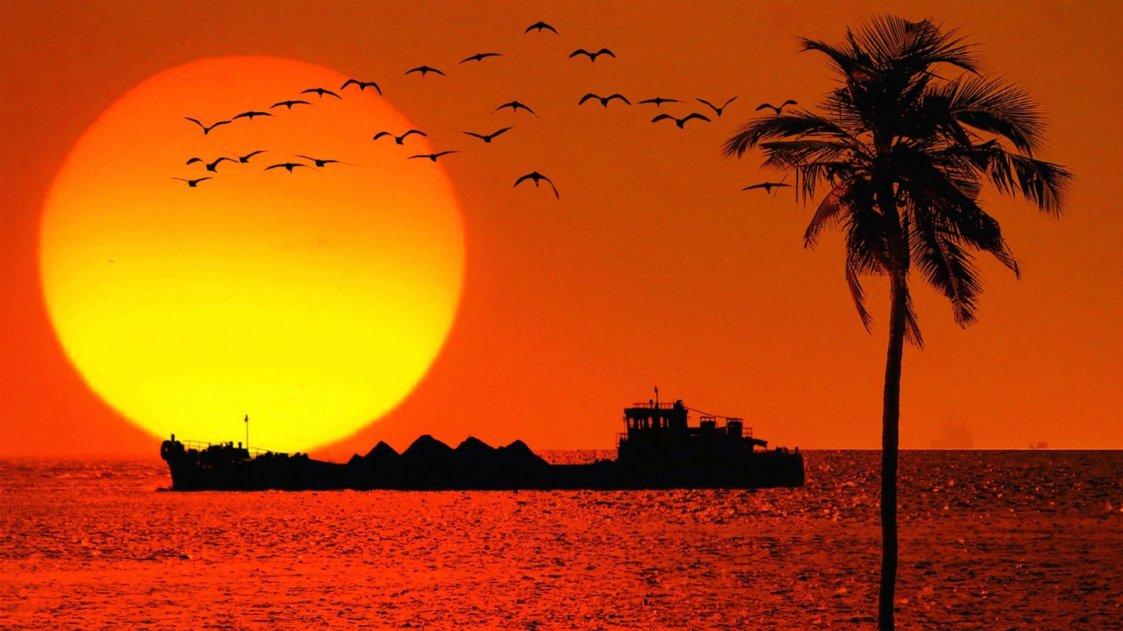 Вечером в Гоа, Индия