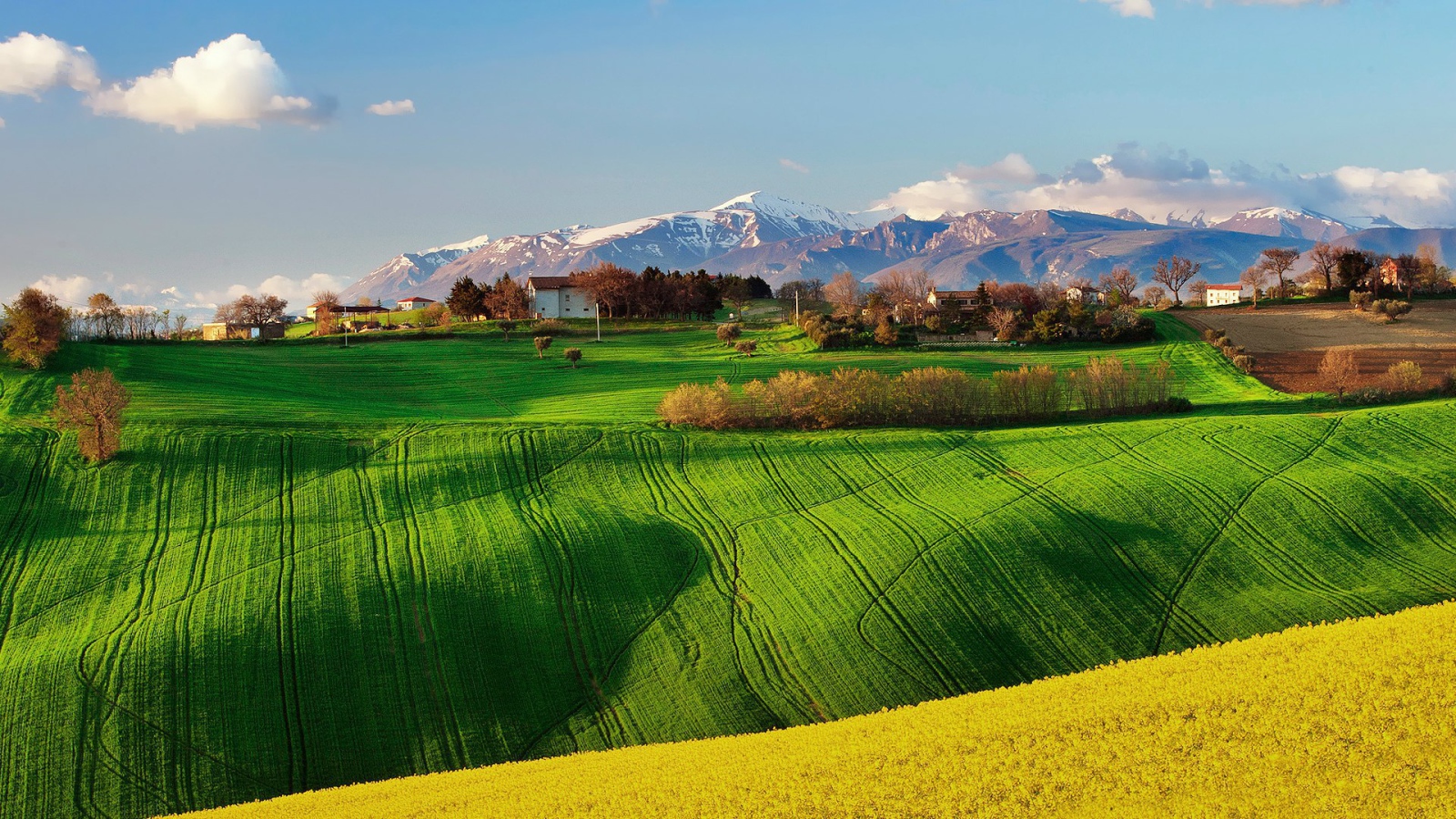 Зеленое поле в Италии