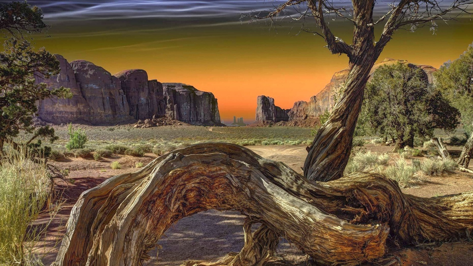 Сухое дерево в Долине монументов, США