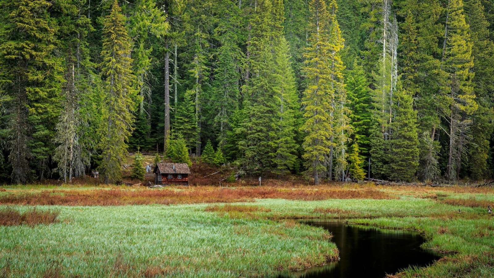 Избушка на опушке леса, Орегон