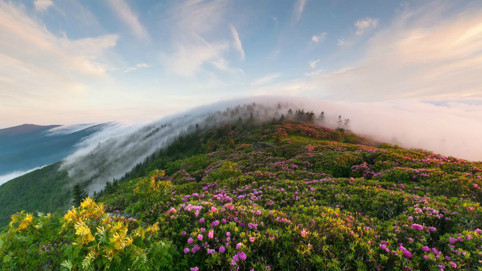 Рон Маунтин, Теннесси, США