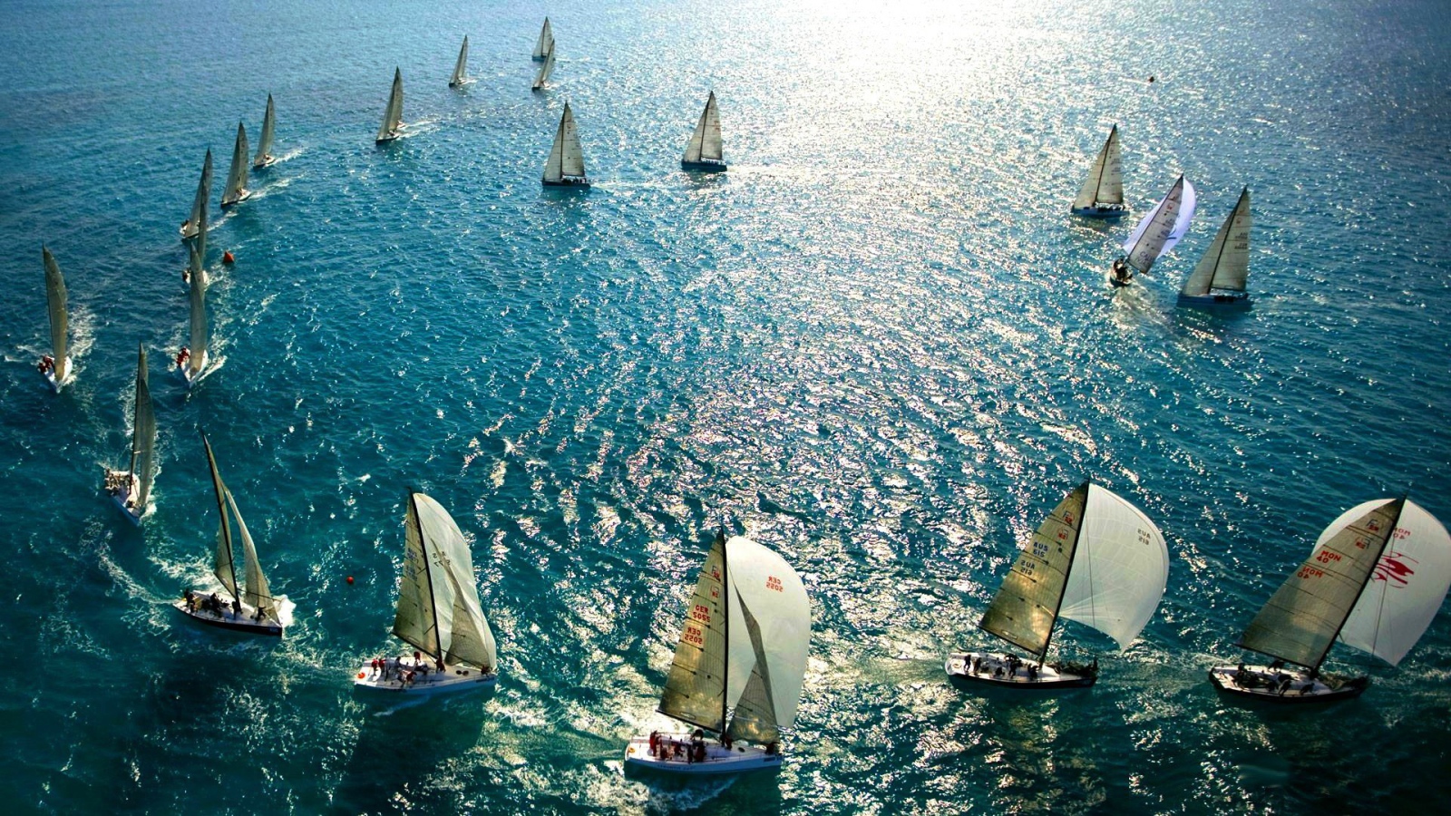 Парусные гонки во Флориде