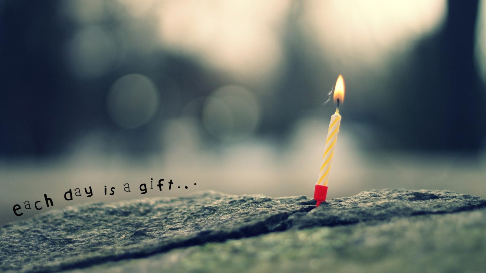 Каждый день это подарок