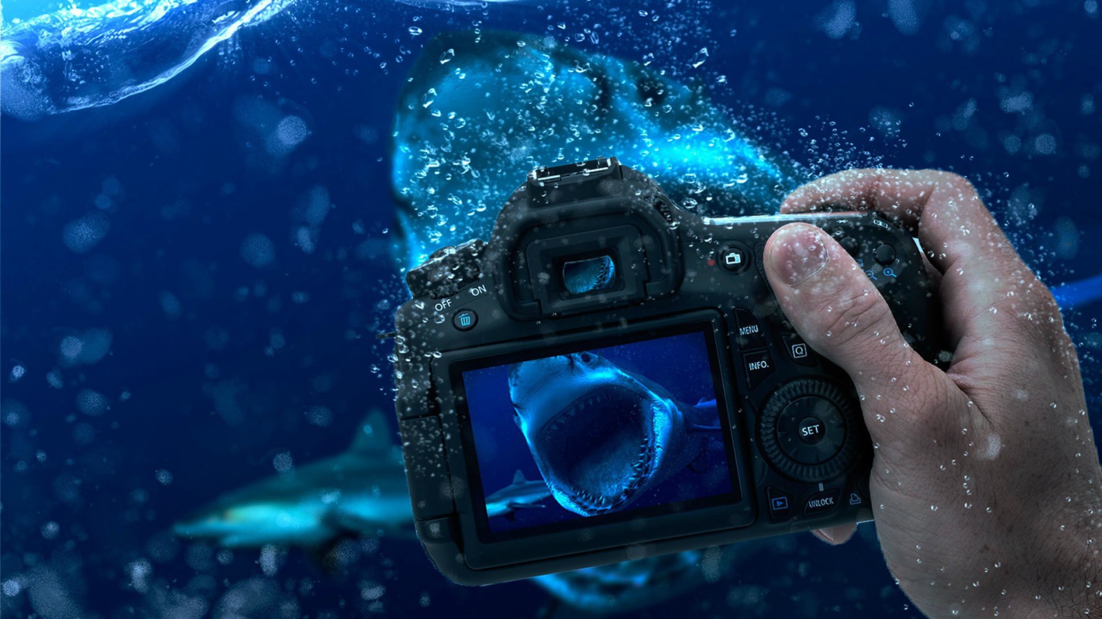 Occupation underwater photography