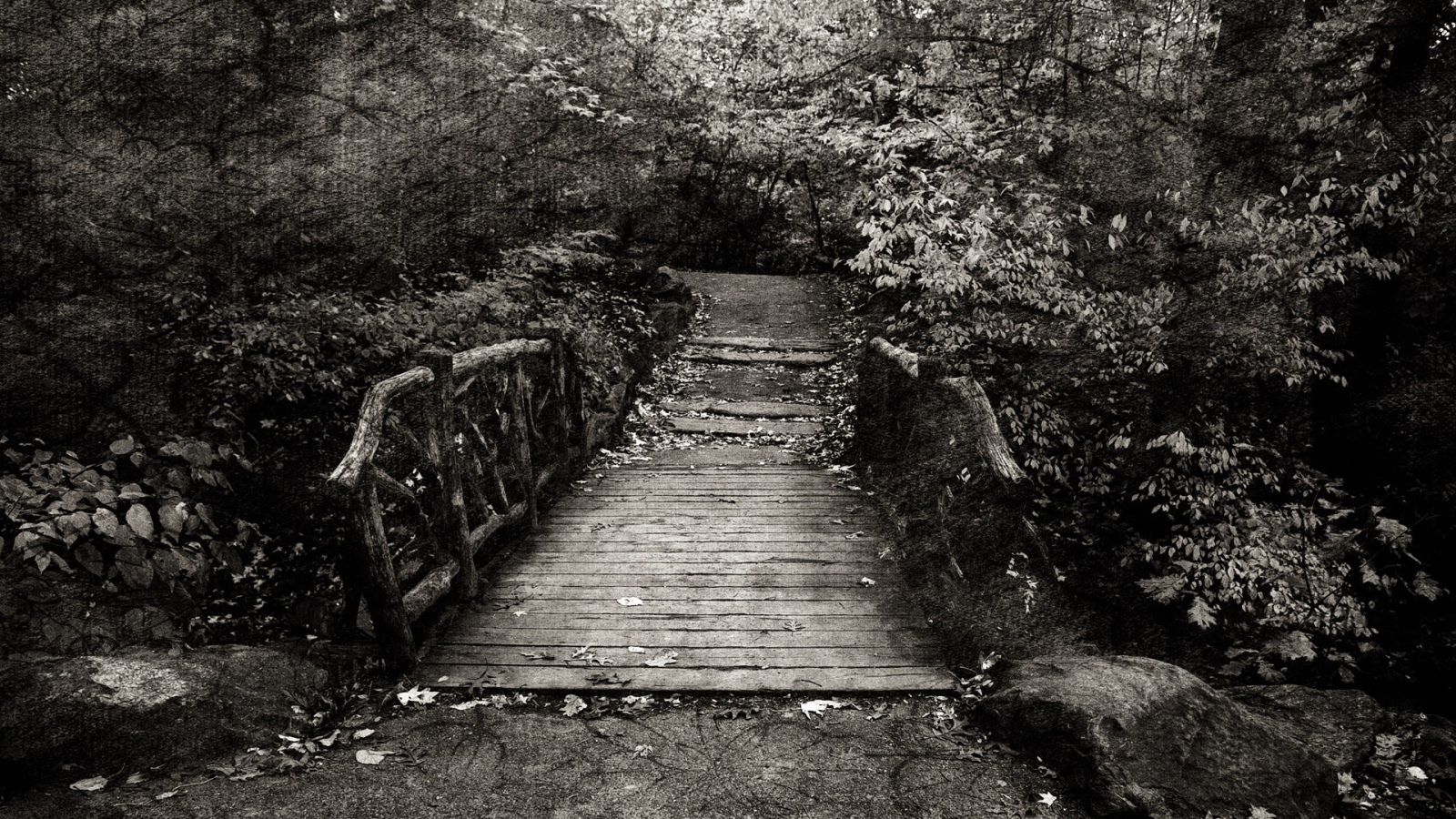 Эффект холста на черно белом фото